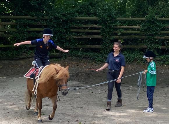Haras du Pins Orne - 6eF